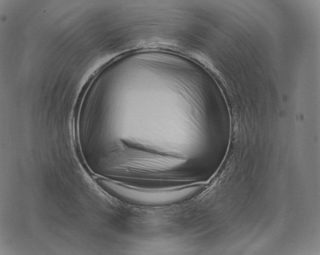 X0000076321032200610161638