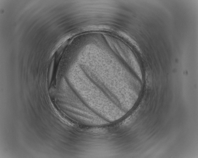 X0000076321033200610161638