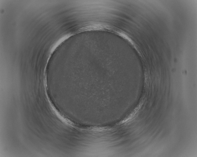 X0000076321034200610161639