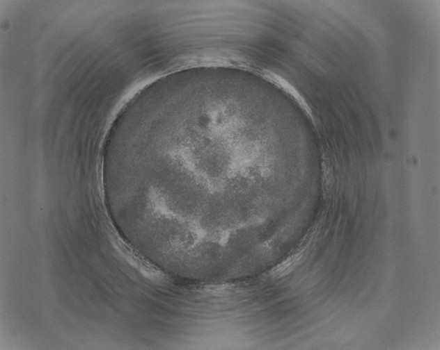 X0000076321035200610161639