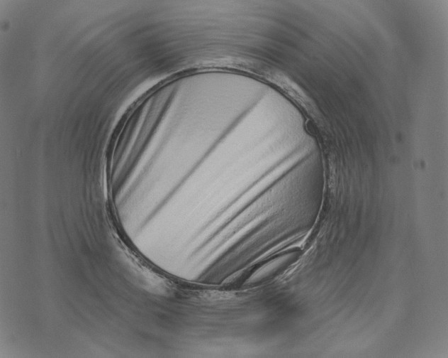 X0000076321036200610161639