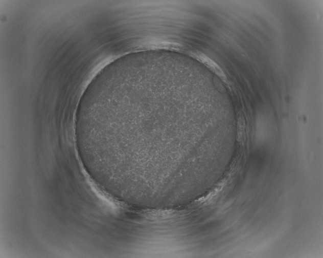 X0000076321039200610161639