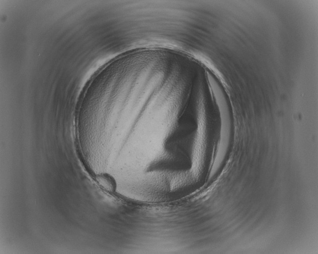 X0000076321040200610161639