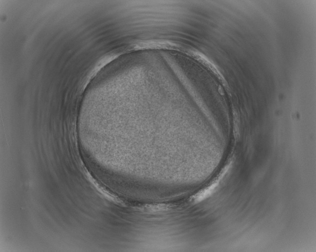 X0000076321041200610161639