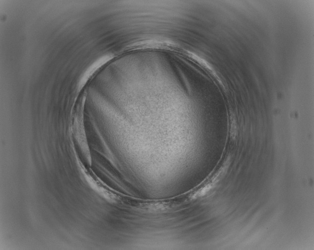 X0000076321042200610161639