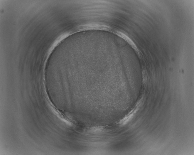 X0000076321043200610161639