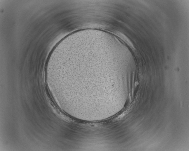 X0000076321044200610161639