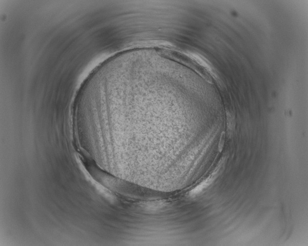 X0000076321046200610161639