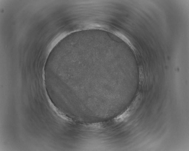 X0000076321047200610161639