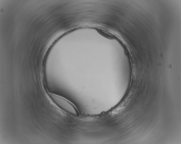 X0000076321048200610161639