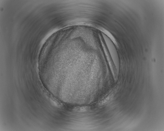 X0000076321051200610161639