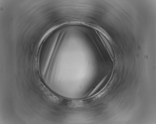 X0000076321052200610161639