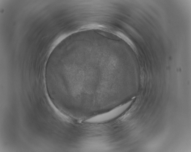 X0000076321055200610161639