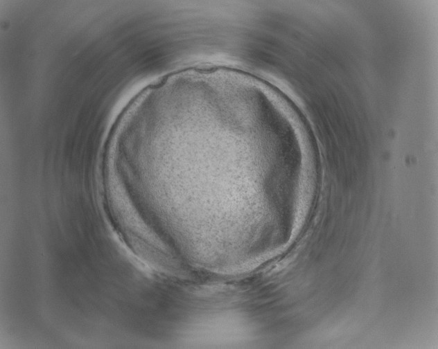 X0000076321056200610161639