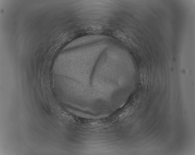 X0000076321057200610161638