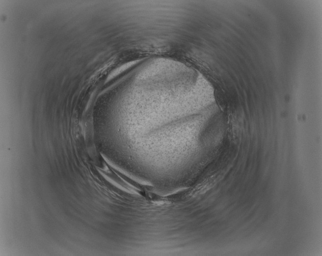 X0000076321058200610161638