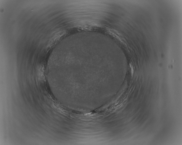 X0000076321060200610161638