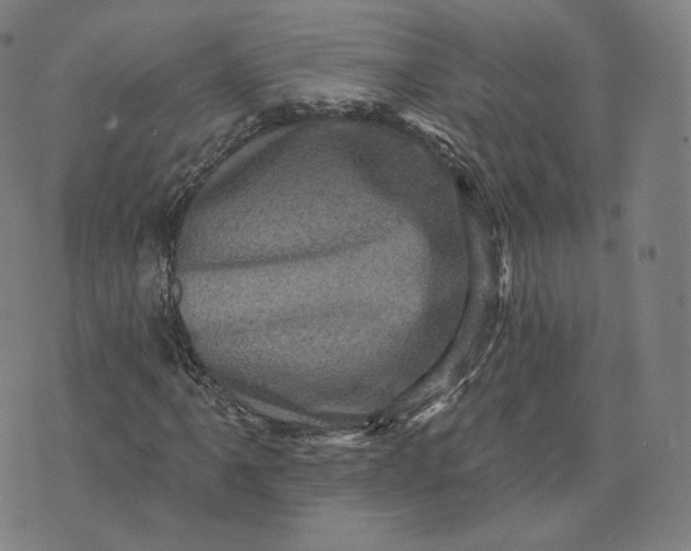 X0000076321061200610161638