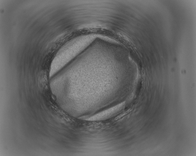 X0000076321062200610161638