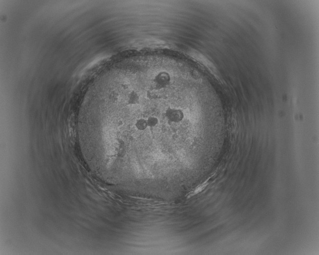 X0000076321063200610161638