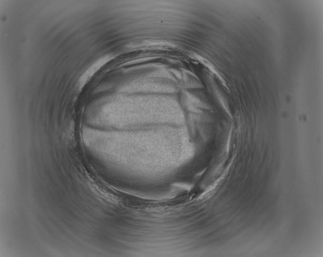 X0000076321066200610161638