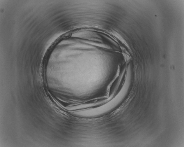 X0000076321068200610161638