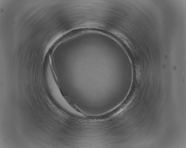 X0000076321069200610161638