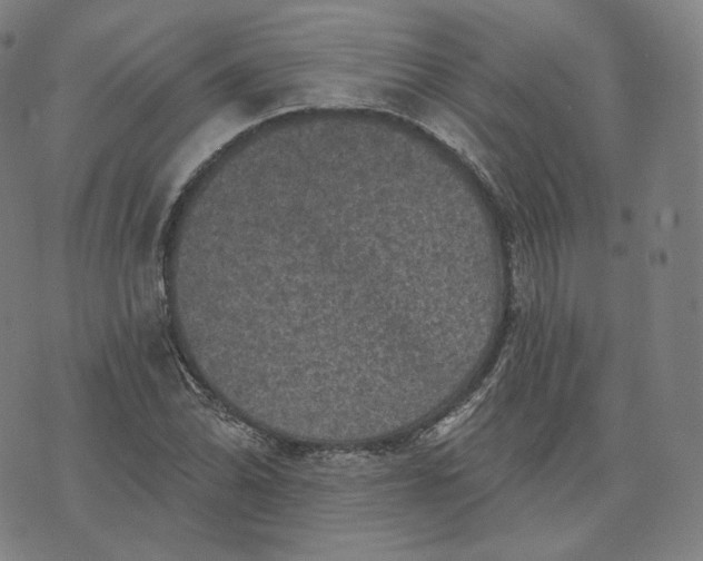 X0000076321070200610161638