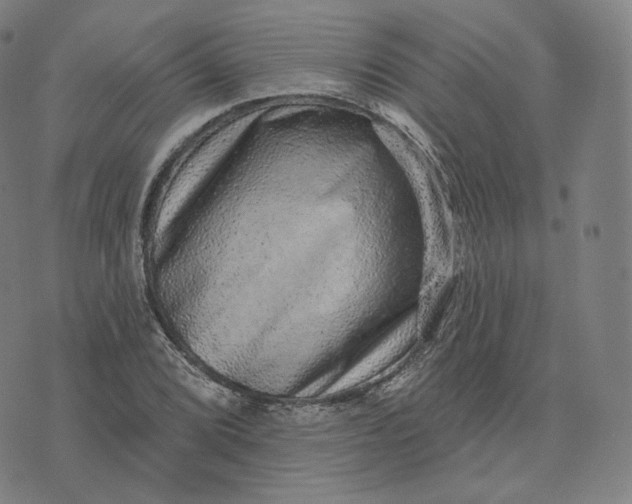 X0000076321072200610161638