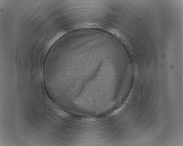 X0000076321073200610161638