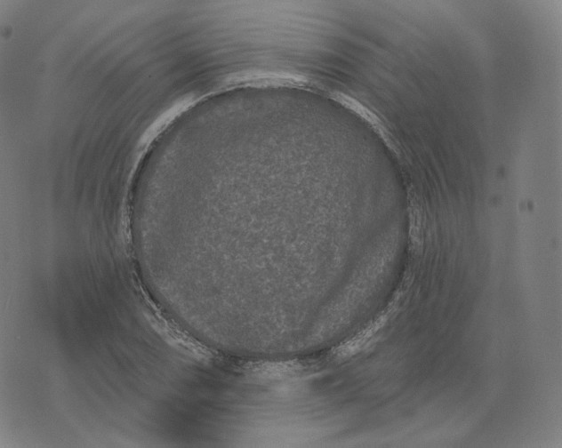 X0000076321074200610161638