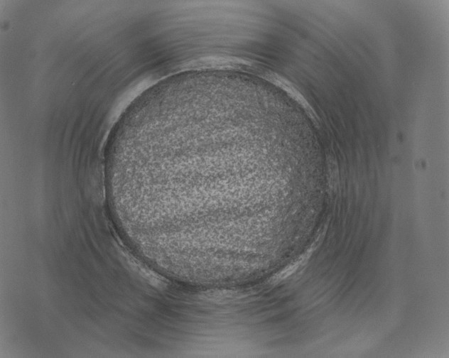 X0000076321075200610161638