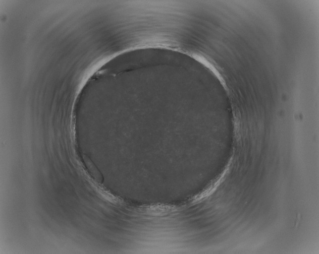 X0000076321077200610161638