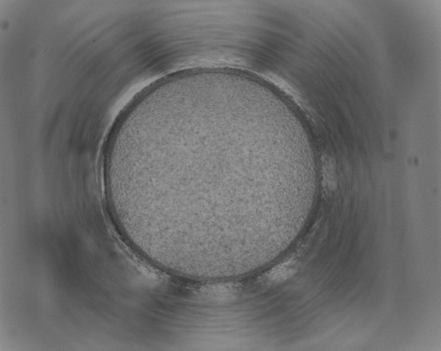 X0000076321078200610161638