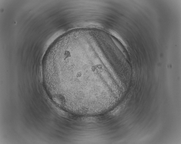 X0000076321079200610161638