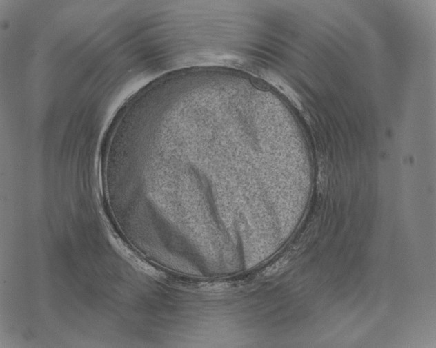 X0000076321080200610161638