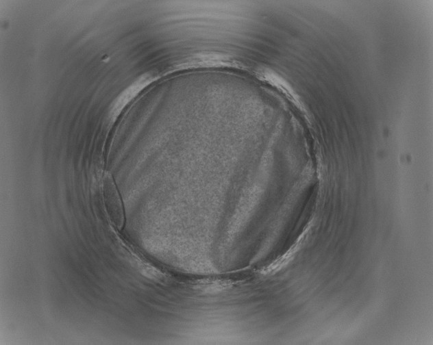 X0000076321081200610161638