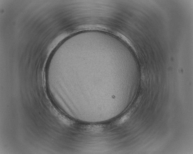 X0000076321082200610161638