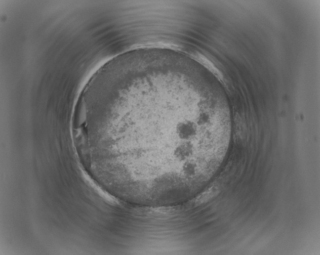 X0000076321084200610161638