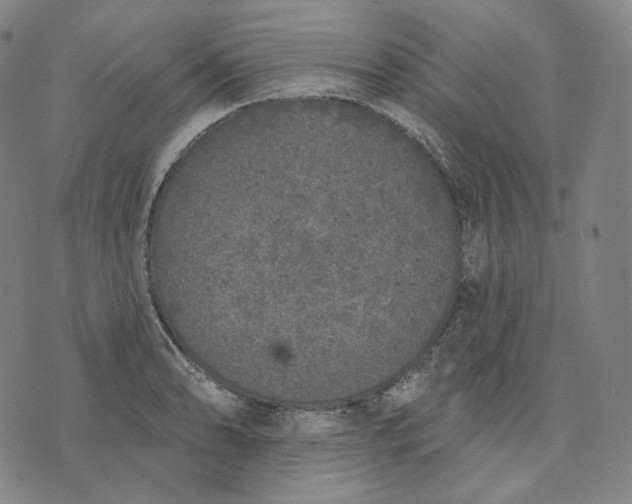 X0000076321086200610161638