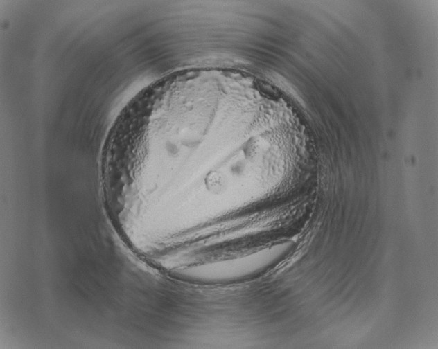 X0000076321087200610161638