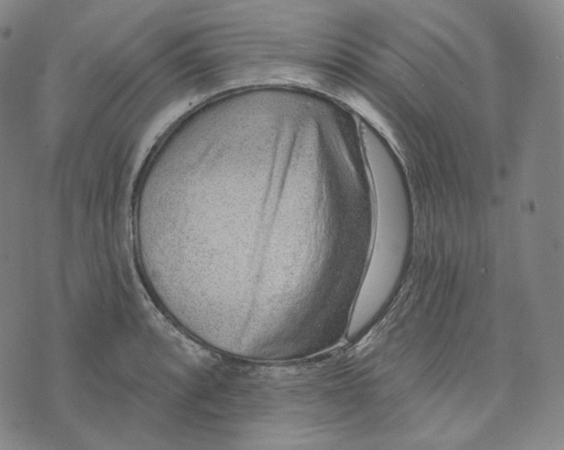 X0000076321088200610161638