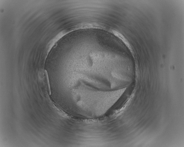 X0000076321089200610161638