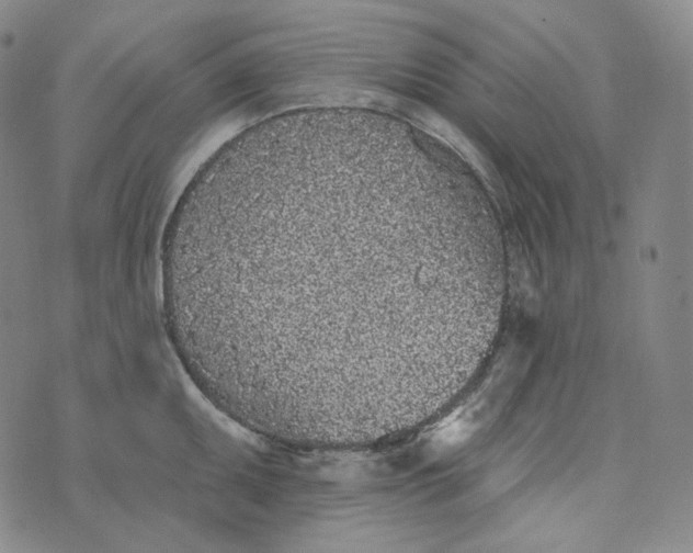 X0000076321095200610161637