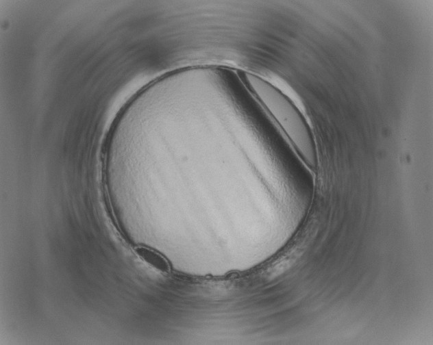 X0000076321096200610161637