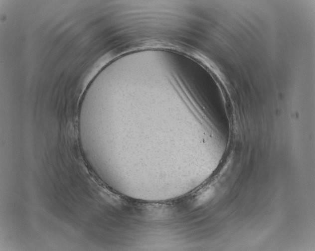 X0000076321097200610161637