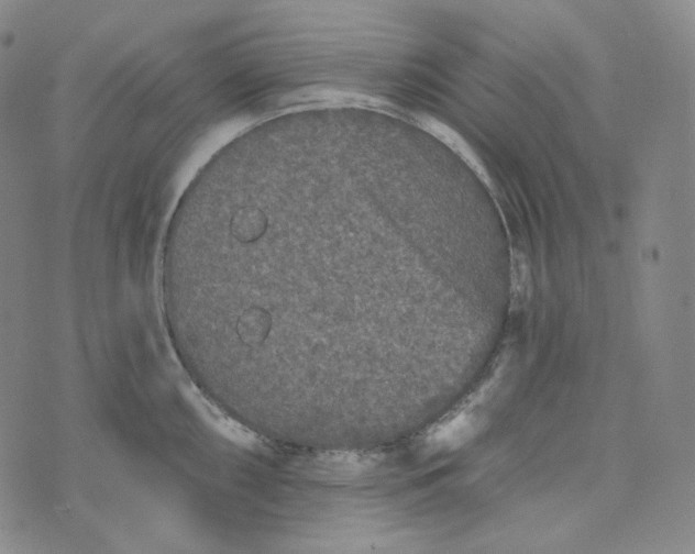 X0000076321098200610161637