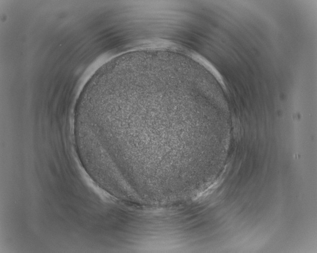 X0000076321099200610161637