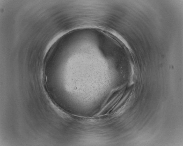 X0000076321101200610161637