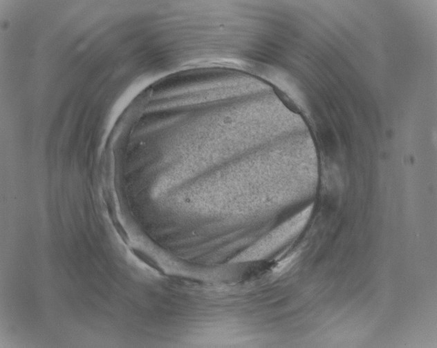 X0000076321102200610161637